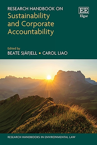Research Handbook on Sustainability and Corporate Accountability.