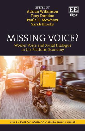 Missing Voice?