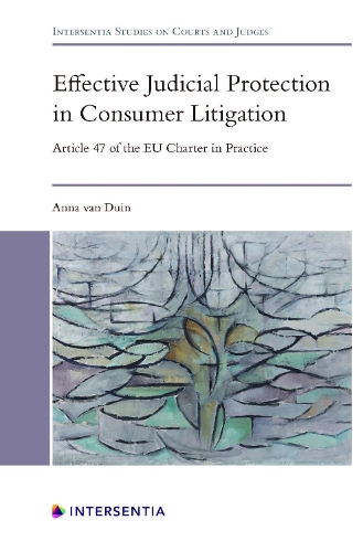 Effective Judicial Protection in Consumer Litigation