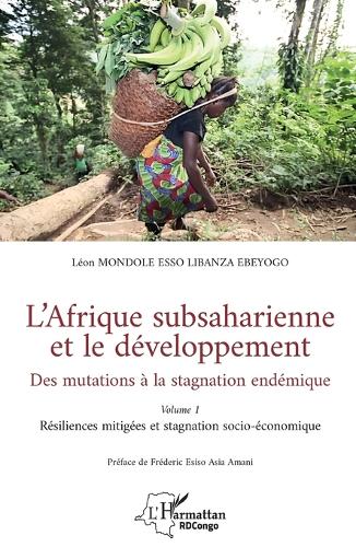 L'Afrique subsaharienne et le developpement