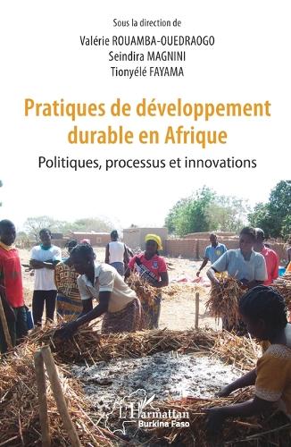 Pratiques de développement durable en Afrique