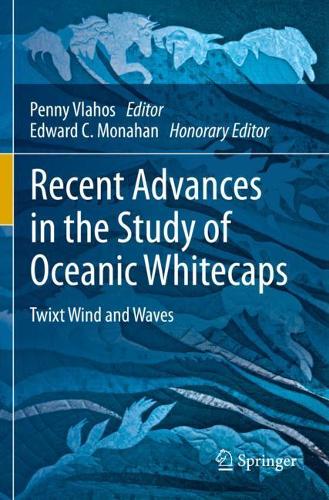 Recent Advances in the Study of Oceanic Whitecaps: Twixt Wind and Waves. 2020 ed.