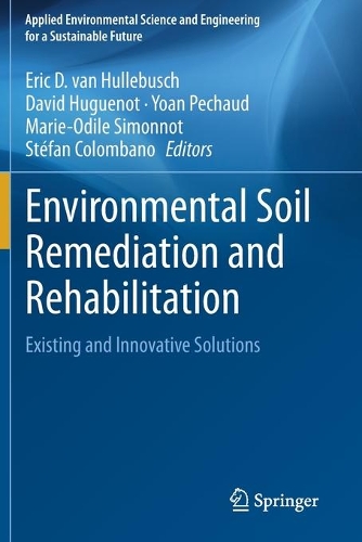 Environmental Soil Remediation and Rehabilitation: Existing and Innovative Solutions. 2020 ed.