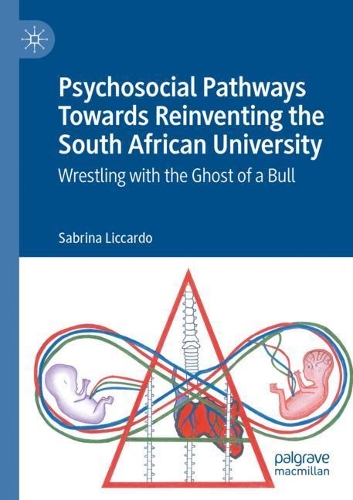 Psychosocial Pathways Towards Reinventing the South African University: Wrestling with the Ghost of a Bull. 2020 ed.