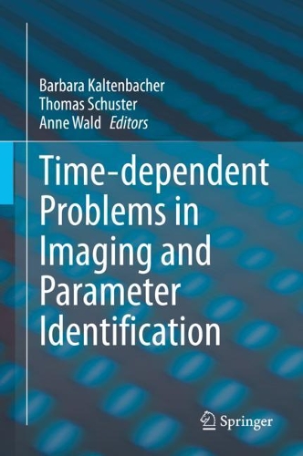 Time-dependent Problems in Imaging and Parameter Identification. 2021 ed.