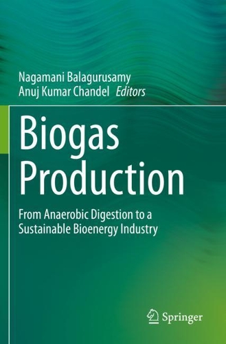 Biogas Production: From Anaerobic Digestion to a Sustainable Bioenergy Industry. 2020 ed.