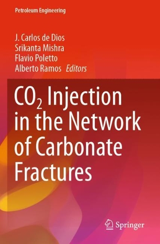 CO2 Injection in the Network of Carbonate Fractures. 2021 ed.