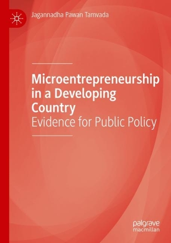 Microentrepreneurship in a Developing Country: Evidence for Public Policy. 2021 ed.