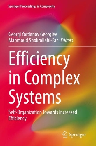 Efficiency in Complex Systems: Self-Organization Towards Increased Efficiency. 2022 ed.