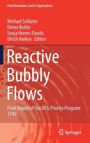 Reactive Bubbly Flows: Final Report of the DFG Priority Program 1740. 2021 ed.