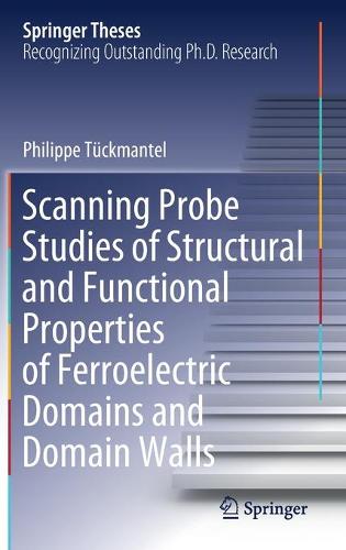 Scanning Probe Studies of Structural and Functional Properties of Ferroelectric Domains and Domain Walls. 2021 ed.