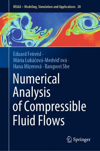 Numerical Analysis of Compressible Fluid Flows.