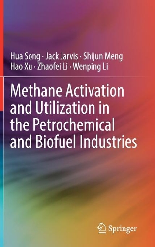 Methane Activation and Utilization in the Petrochemical and Biofuel Industries. 2022 ed.