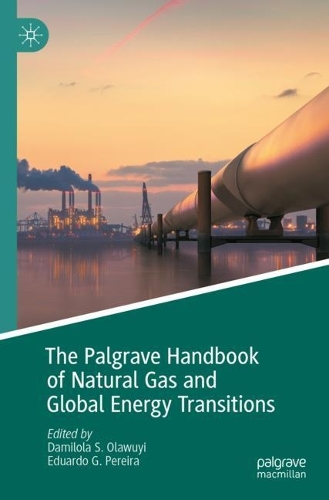 The Palgrave Handbook of Natural Gas and Global Energy Transitions. 2022 ed.