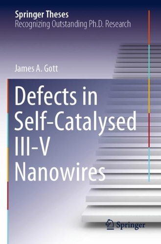 Defects in Self-Catalysed III-V Nanowires. 2022 ed.