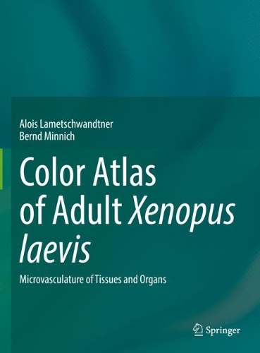 Color Atlas of Adult Xenopus laevis: Microvasculature of Tissues and Organs. 2022 ed.