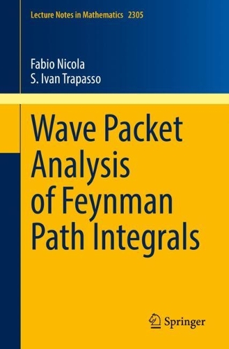 Wave Packet Analysis of Feynman Path Integrals. 1st ed. 2022