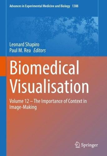 Biomedical Visualisation: Volume 12 - The Importance of Context in Image-Making. 1st ed. 2022