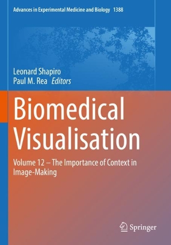 Biomedical Visualisation: Volume 12 - The Importance of Context in Image-Making. 1st ed. 2022