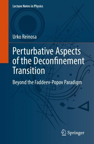 Perturbative Aspects of the Deconfinement Transition: Beyond the Faddeev-Popov Paradigm. 1st ed. 2022