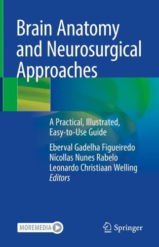 Brain Anatomy and Neurosurgical Approaches: A Practical, Illustrated, Easy-to-Use Guide. 2023 ed.