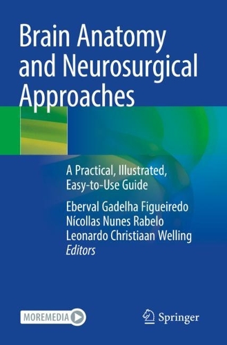 Brain Anatomy and Neurosurgical Approaches: A Practical, Illustrated, Easy-to-Use Guide. 2023 ed.