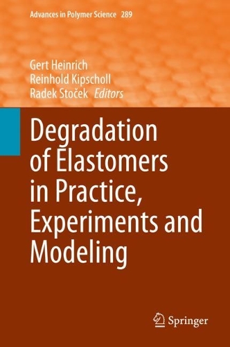 Degradation of Elastomers in Practice, Experiments and Modeling. 2023 ed.