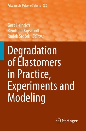 Degradation of Elastomers in Practice, Experiments and Modeling. 2023 ed.