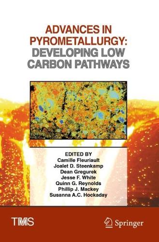 Advances in Pyrometallurgy: Developing Low Carbon Pathways. 2023 ed.
