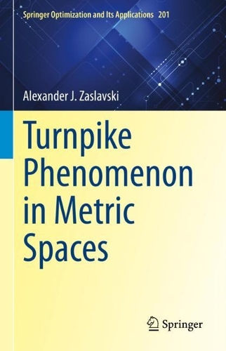 Turnpike Phenomenon in Metric Spaces.