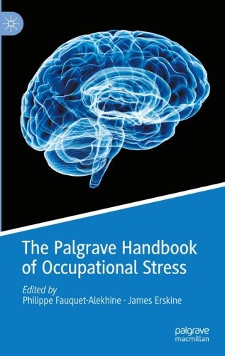 The Palgrave Handbook of Occupational Stress.