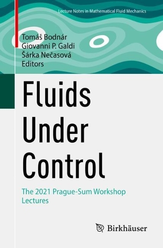 Fluids Under Control: The 2021 Prague-Sum Workshop Lectures. 1st ed. 2023