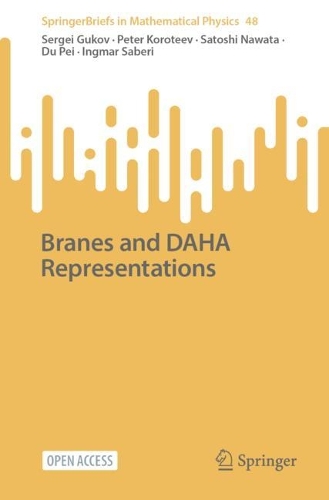 Branes and DAHA Representations. 1st ed. 2023