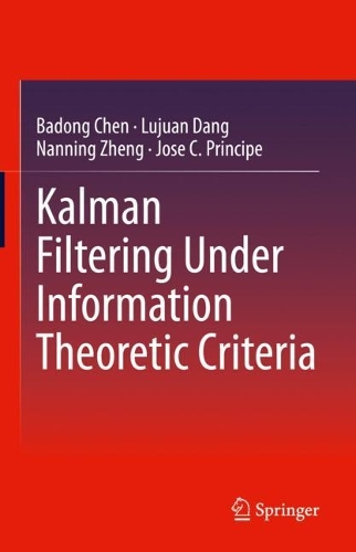 Kalman Filtering Under Information Theoretic Criteria. 2023 ed.