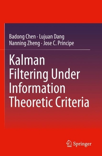 Kalman Filtering Under Information Theoretic Criteria. 2023 ed.