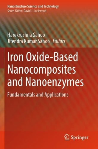 Iron Oxide-Based Nanocomposites and Nanoenzymes: Fundamentals and Applications.