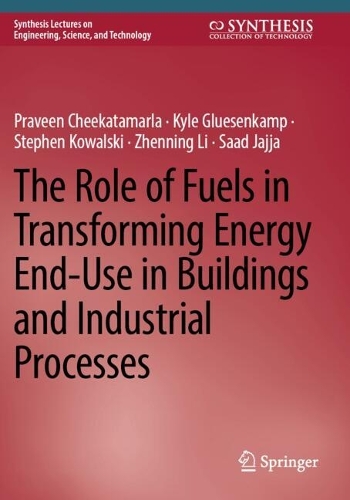 The Role of Fuels in Transforming Energy End-Use in Buildings and Industrial Processes. 2024 ed.