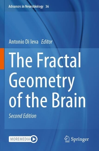 The Fractal Geometry of the Brain. Second Edition 2024