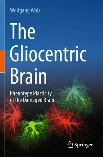 The Gliocentric Brain: Phenotype Plasticity of the Damaged Brain.