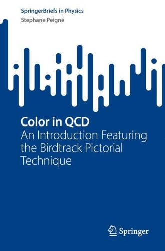 Color in QCD: An Introduction Featuring the Birdtrack Pictorial Technique. 2024 ed.
