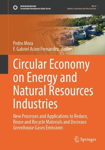 Circular Economy on Energy and Natural Resources Industries: New Processes and Applications to Reduce, Reuse and Recycle Materials and Decrease Greenhouse Gases Emissions. 2024 ed.