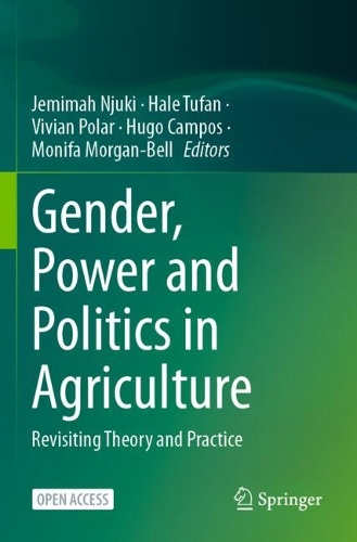 Gender, Power and Politics in Agriculture: Revisiting Theory and Practice.