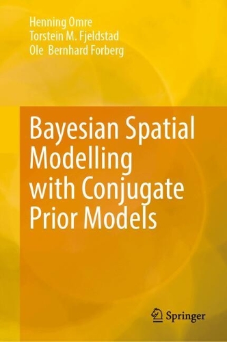 Bayesian Spatial Modelling with Conjugate Prior Models.