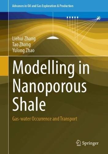 Modelling in Nanoporous Shale: Gas-water Occurrence and Transport. 2024 ed.