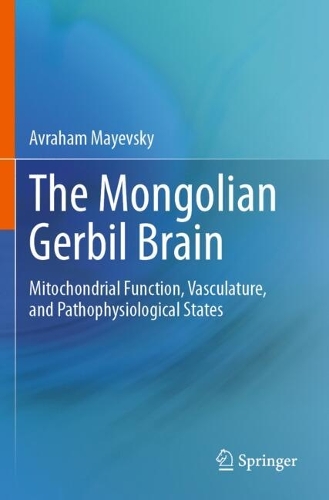 The Mongolian Gerbil Brain: Mitochondrial Function, Vasculature, and Pathophysiological States.