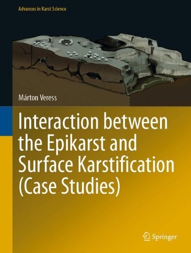 Interaction between the Epikarst and Surface Karstification (Case Studies). 2024 ed.