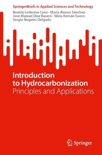 Introduction to Hydrocarbonization: Principles and Applications. 2024 ed.
