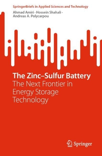 The Zinc-Sulfur Battery: The Next Frontier in Energy Storage Technology. 2024 ed.