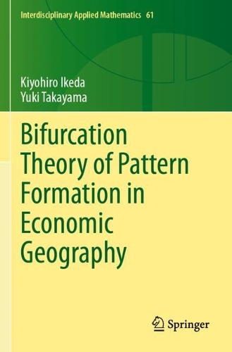 Bifurcation Theory of Pattern Formation in Economic Geography.