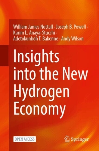 Insights into the New Hydrogen Economy. 2025 ed.